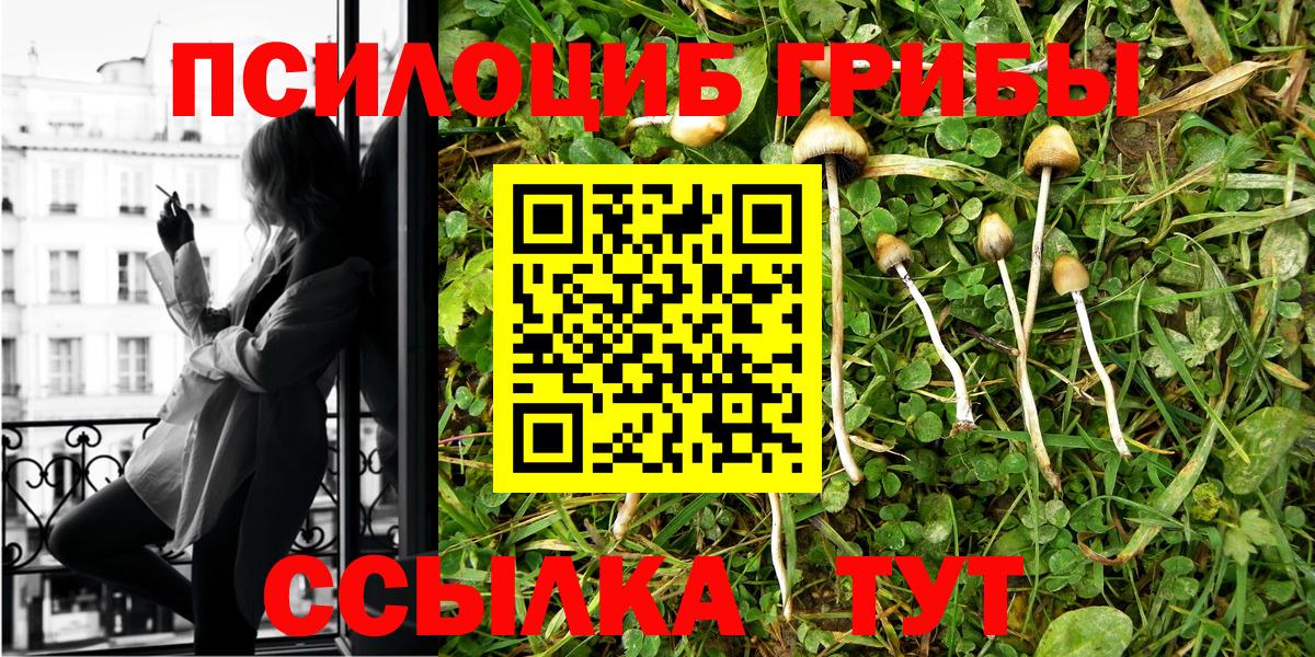 Галлюциногенные грибы GOLDEN TEACHER  Псилоцибиновые грибы мухоморы  Дубна  Вход с VPN 